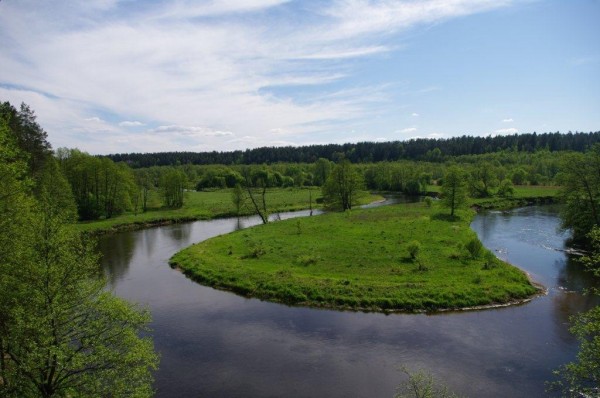Druskininkų miškų urėdija, VĮ