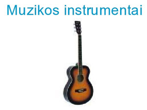 Evsis, UAB
