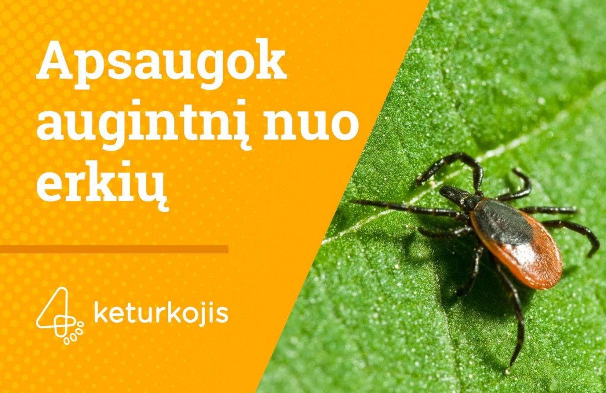 Keturkojis, UAB