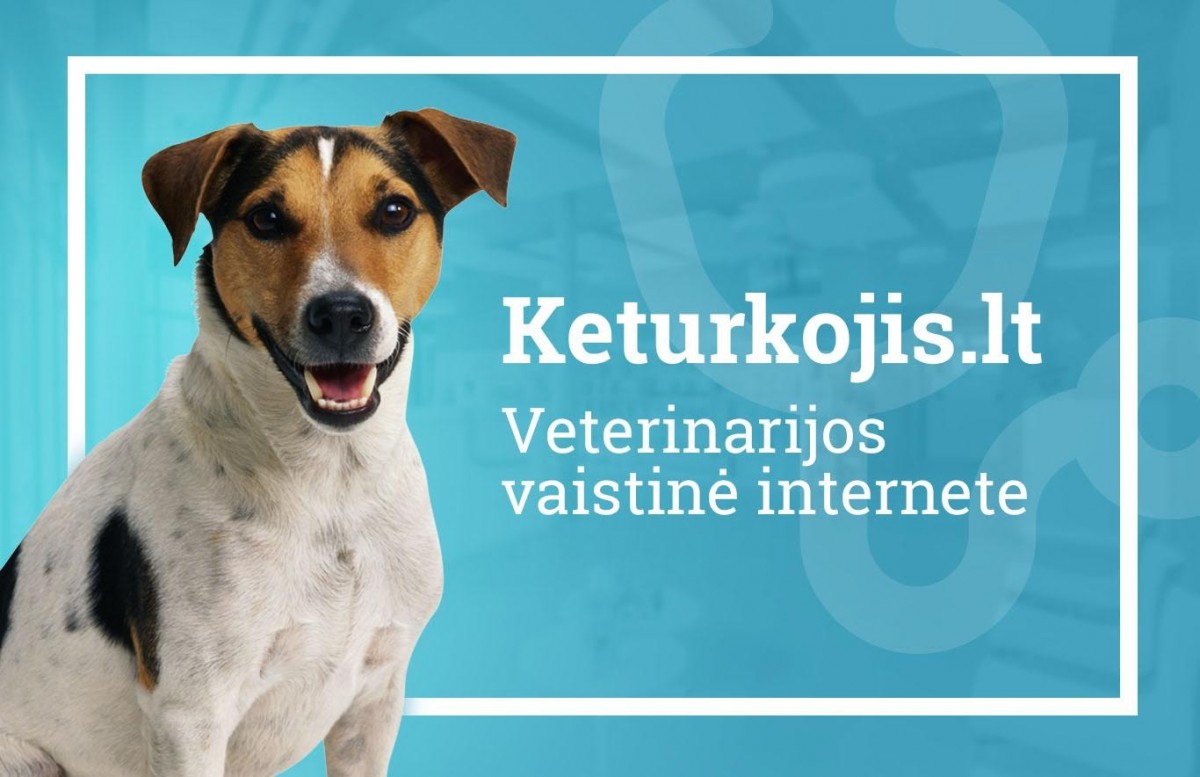 Keturkojis, UAB