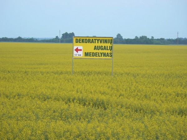 Tučių medelynas
