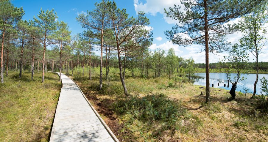 Kukuižės ežeras