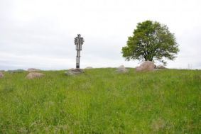 Gintarų piliakalnis; Kartenos dvarvietė (Vyšnių kalnas)