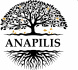 Anapilis, laidojimo biuras