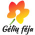 GeliuFeja.lt, Gėlių pristatymas Visoje Lietuvoje