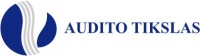 Audito tikslas, UAB