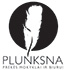 Plunksna, prekės mokyklai ir biurui