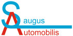 Saugus automobilis, paslaugų teikimo vieta, UAB