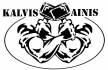 Kalvis Ainis