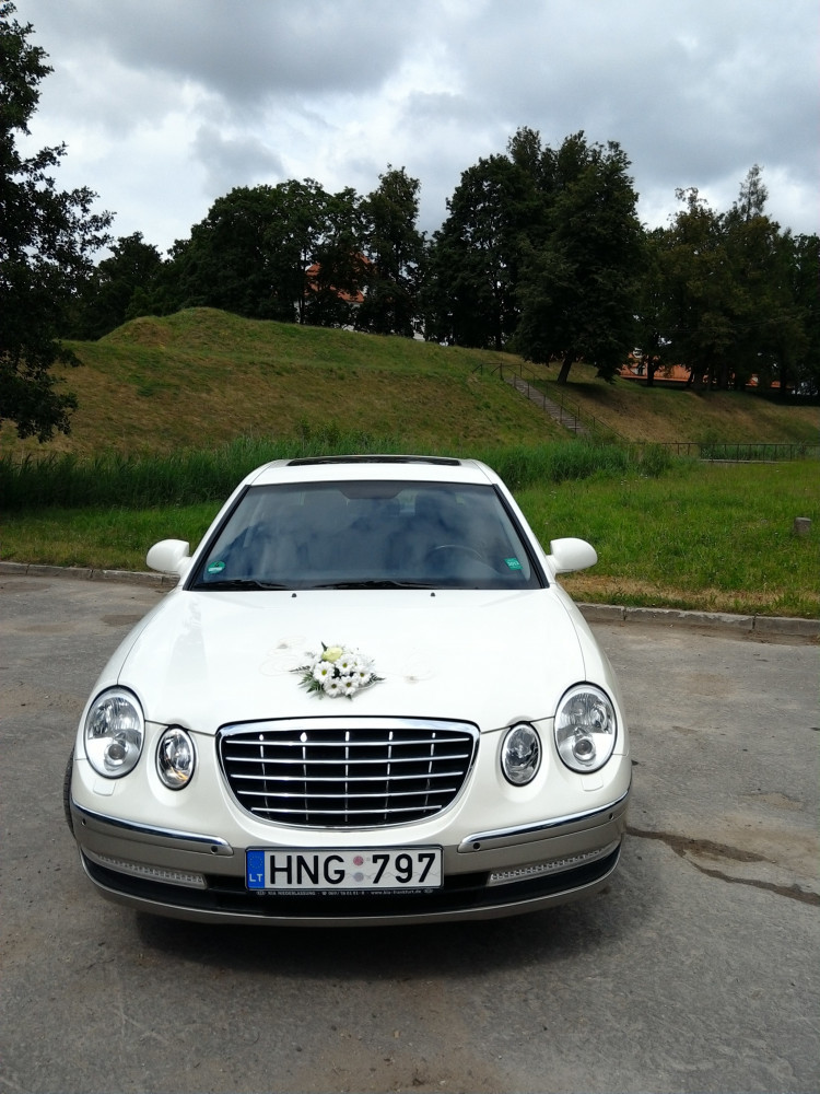 V. Undzėno įmonė