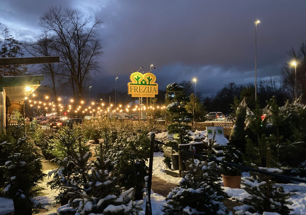 Frezija, sodo centras, UAB "Frezijų puokštė"