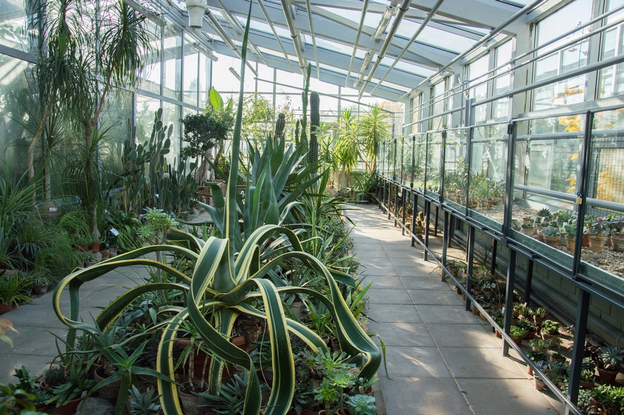 Vytauto Didžiojo universiteto Botanikos sodas