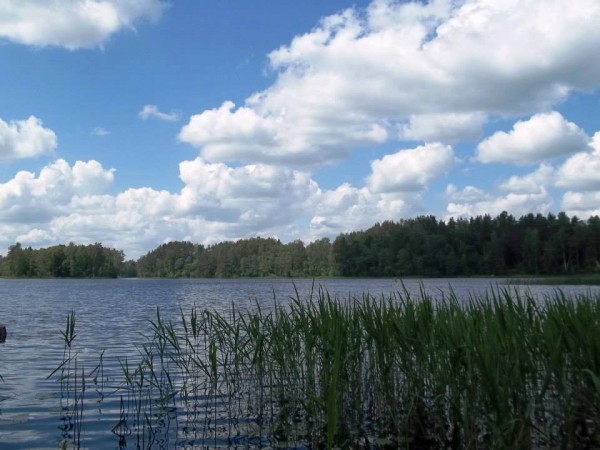 Versmelė, sodyba