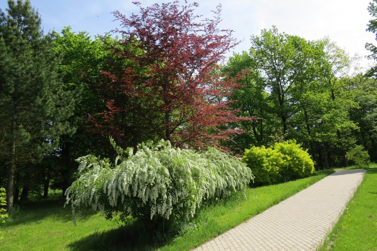 Degaičių parkas, Degaičių seniūnija