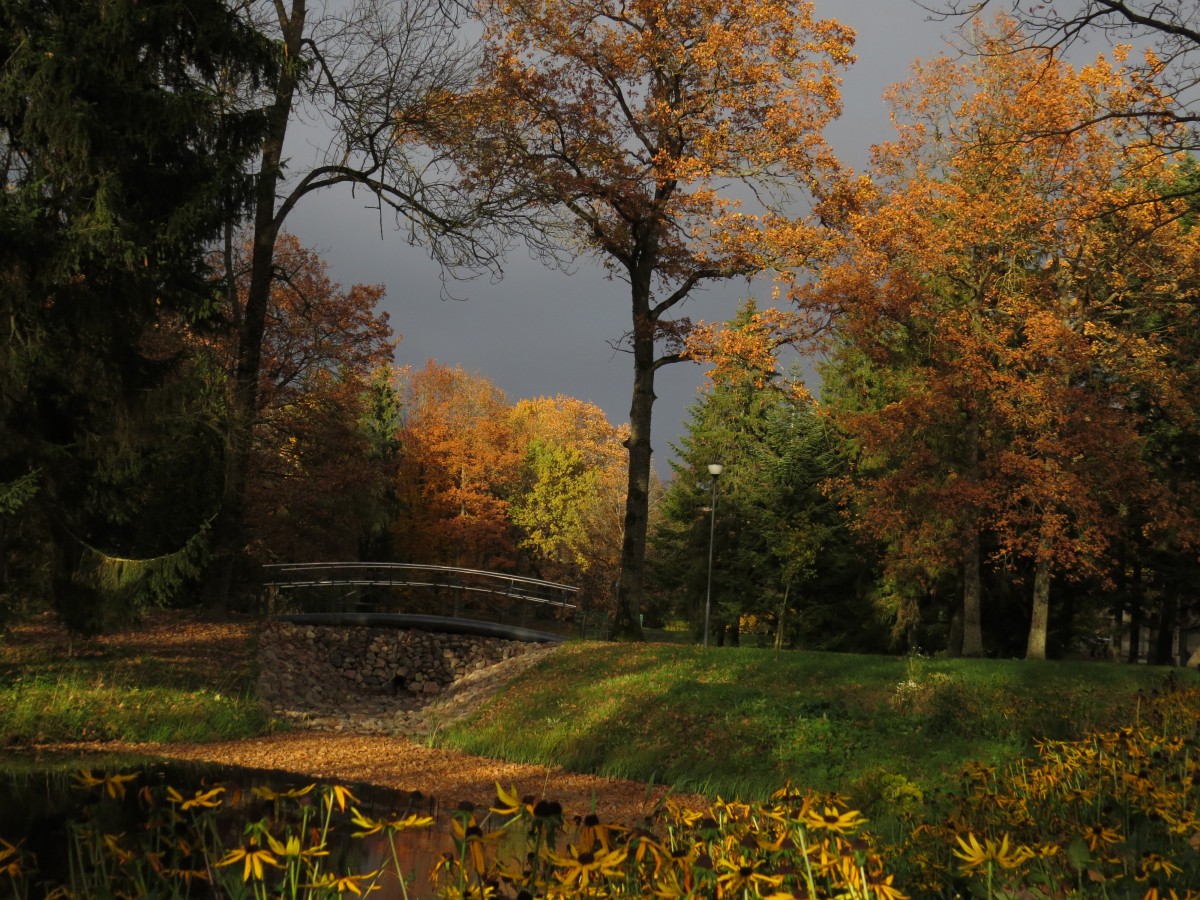 Degaičių parkas, Degaičių seniūnija