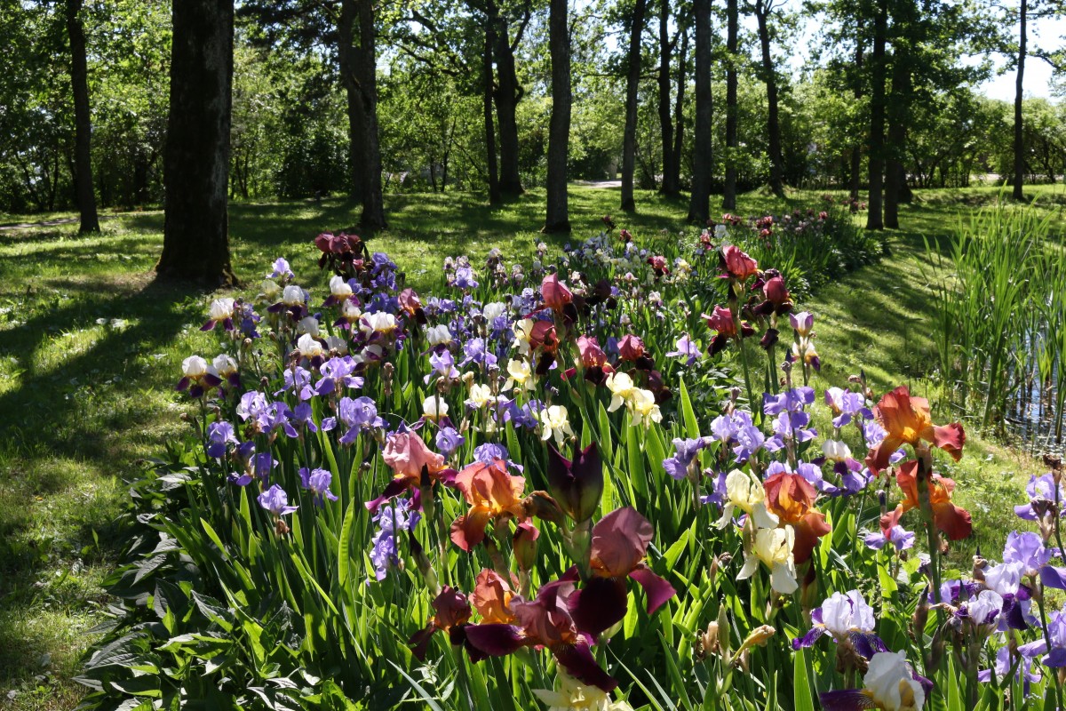 Degaičių parkas, Degaičių seniūnija