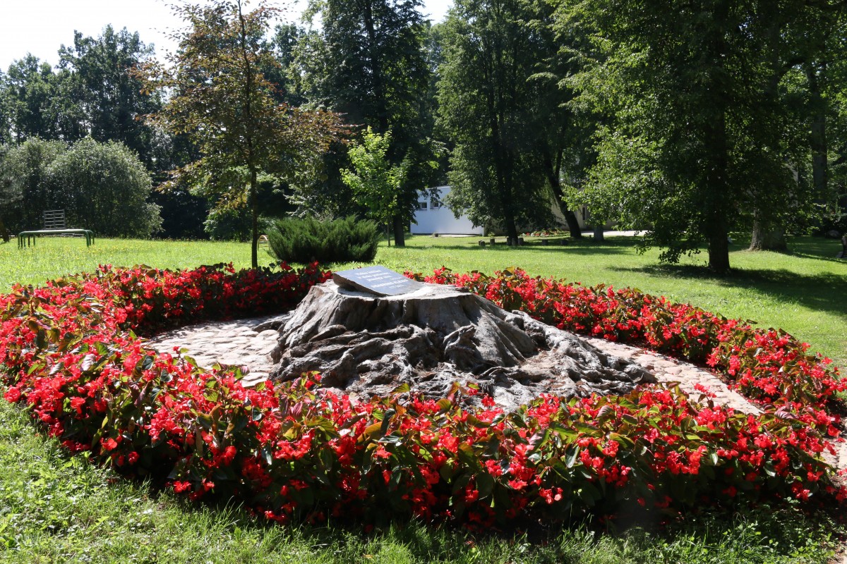 Degaičių parkas, Degaičių seniūnija
