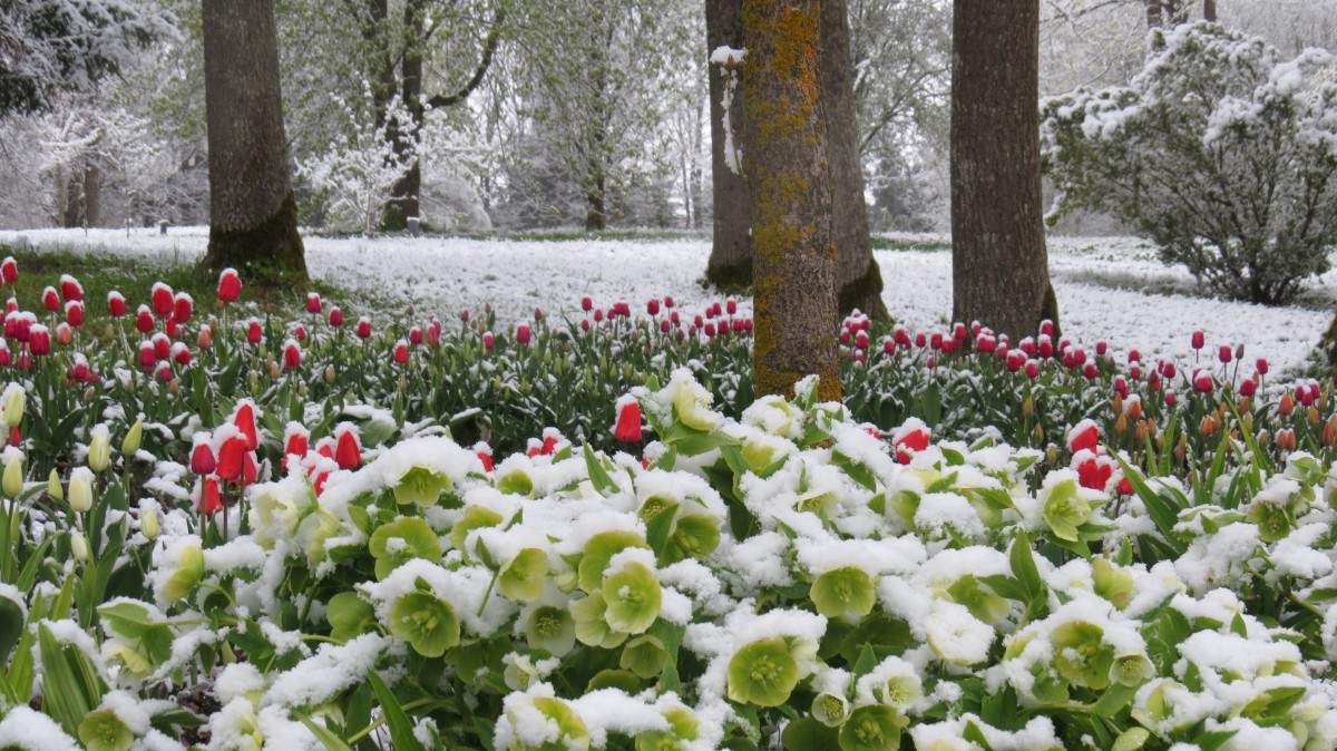 Degaičių parkas, Degaičių seniūnija