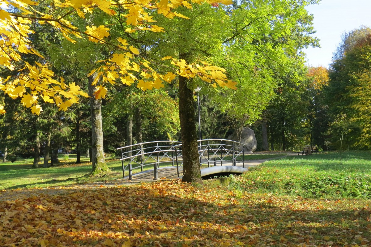 Degaičių parkas, Degaičių seniūnija