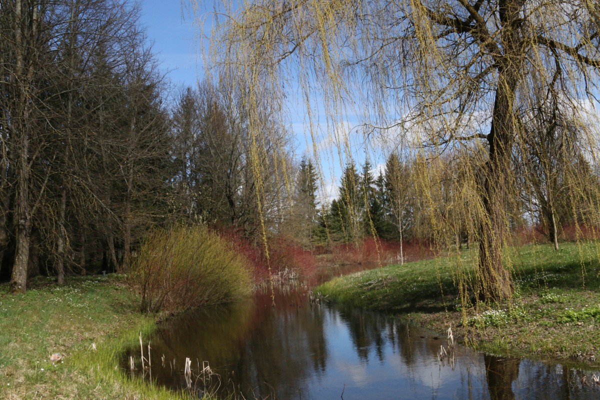 Degaičių parkas, Degaičių seniūnija