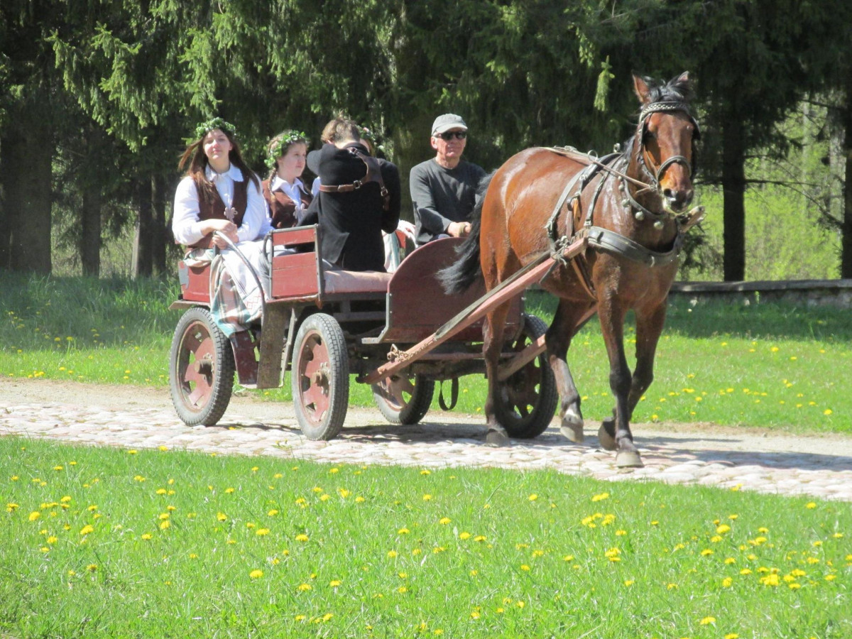 Žemaičių muziejus „Alka“