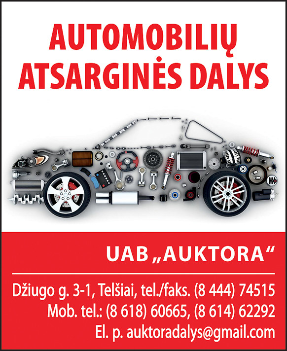 Auktora, UAB
