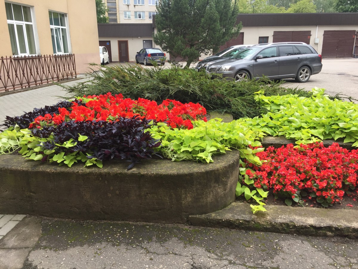 Vilkaviškio komunalinis ūkis, UAB