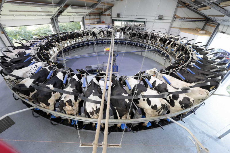 Delaval, UAB