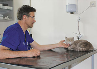 Jeruzalės veterinarijos klinika