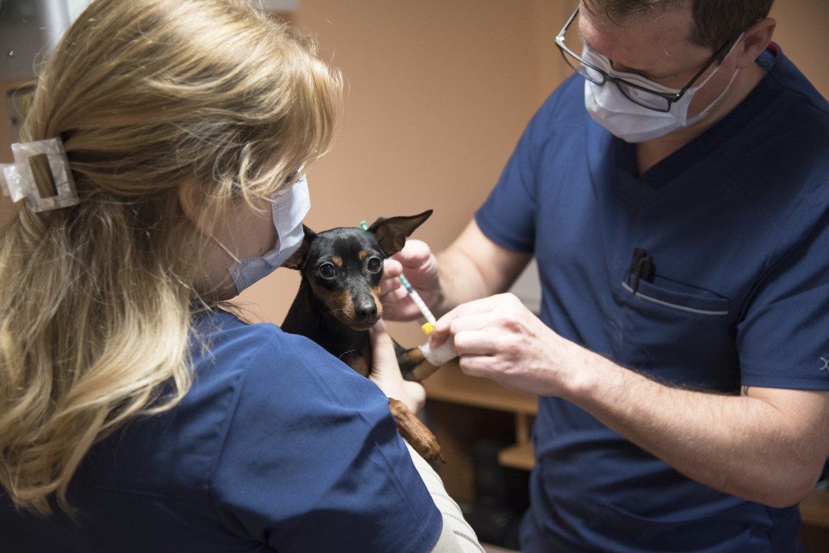 Buivydiškių veterinarijos klinika, VšĮ