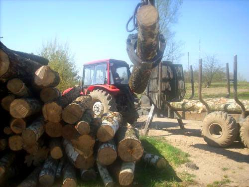 Litpinus, IĮ