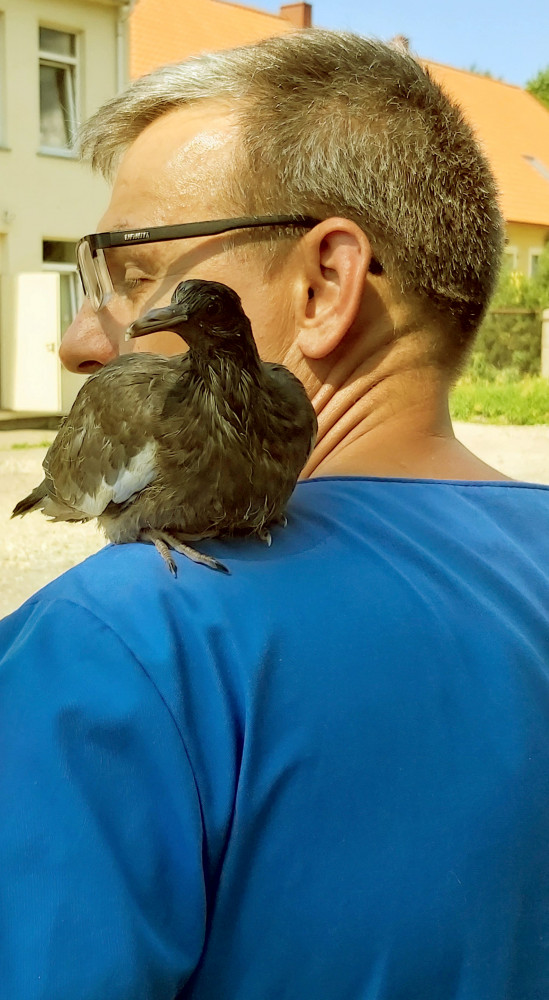 K. Petravičiaus veterinarinė klinika, UAB