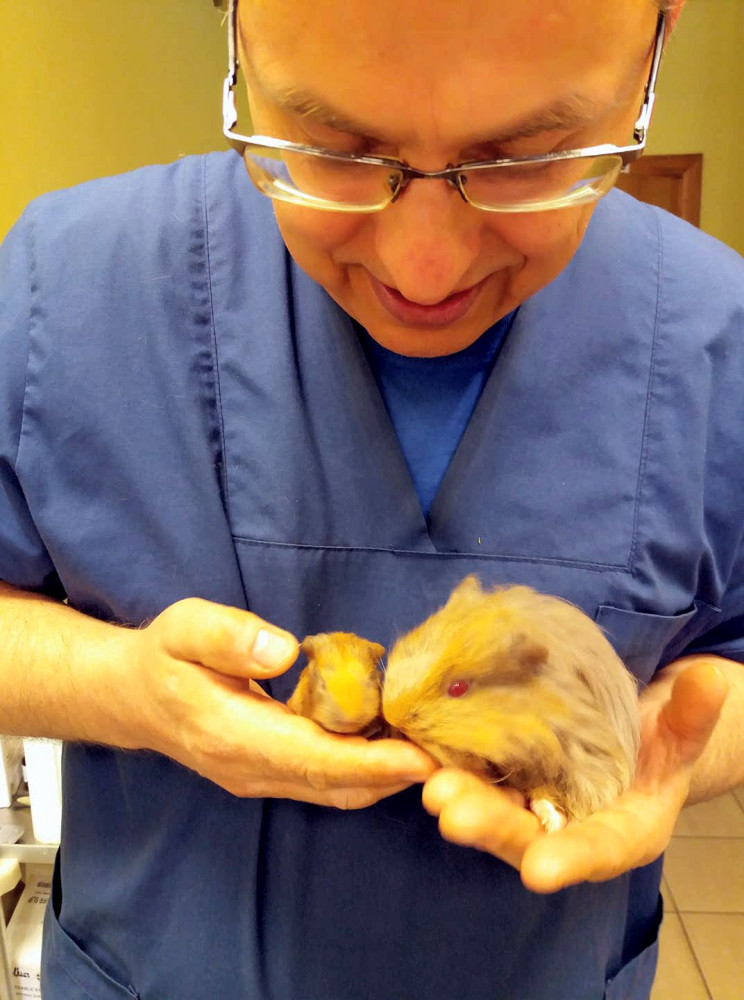 K. Petravičiaus veterinarinė klinika, UAB