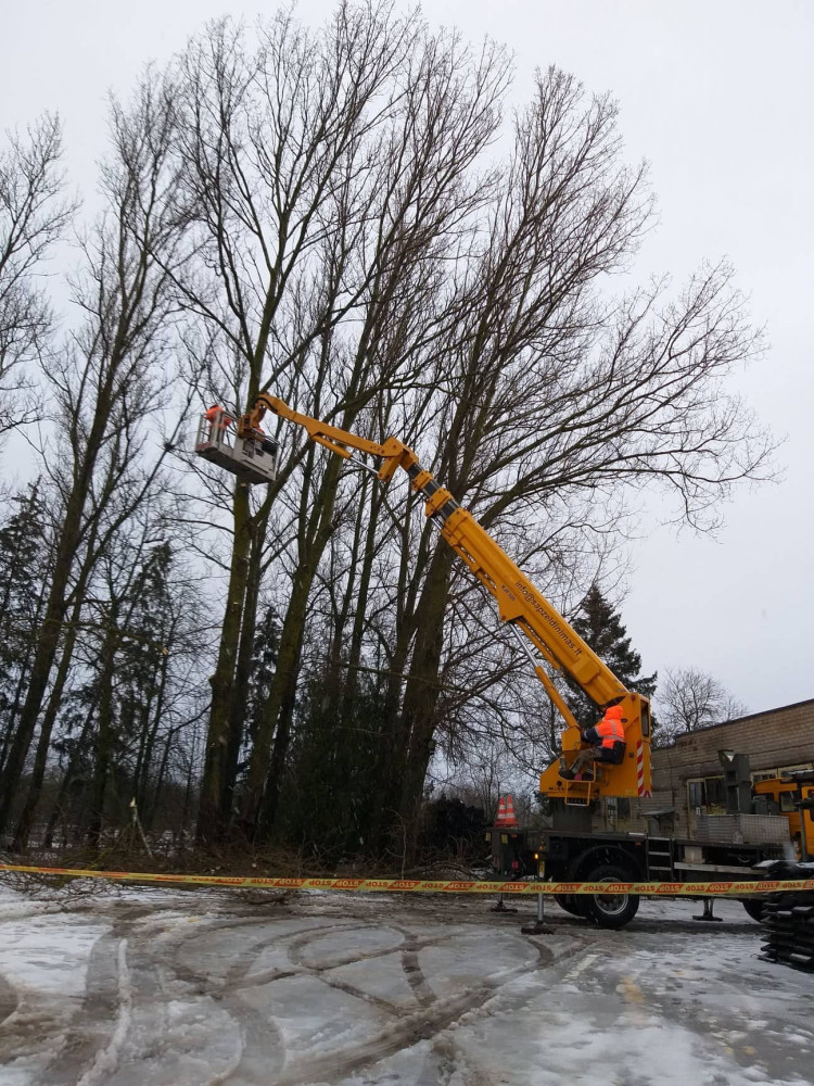 Šiaulių apželdinimas, UAB