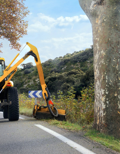 L. Petkevičienės IĮ