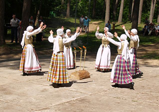 Pakruojo miškų urėdija, VĮ