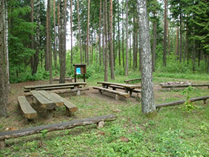 Pakruojo miškų urėdija, VĮ