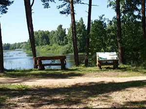 Pakruojo miškų urėdija, VĮ