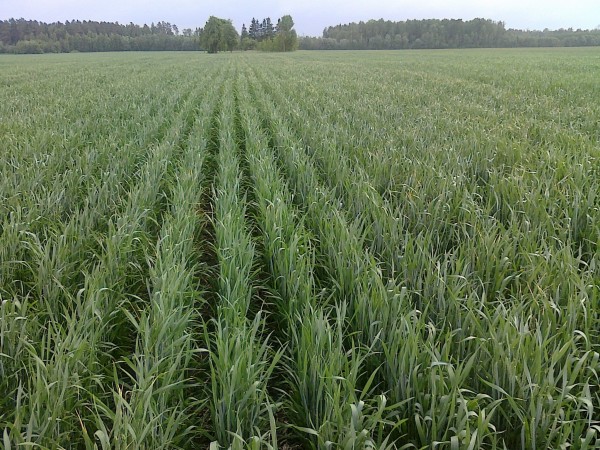 Alfa Agro, UAB