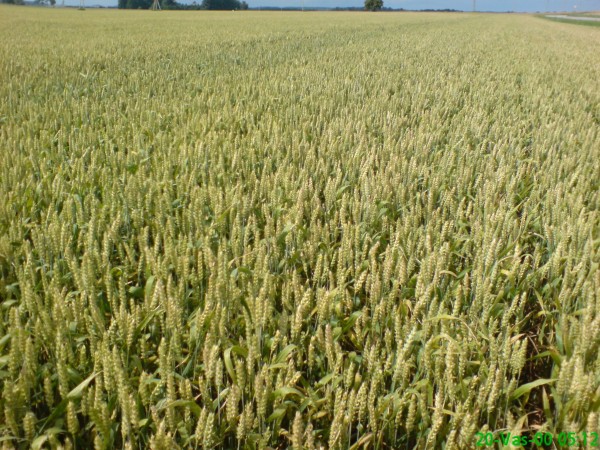 Alfa Agro, UAB