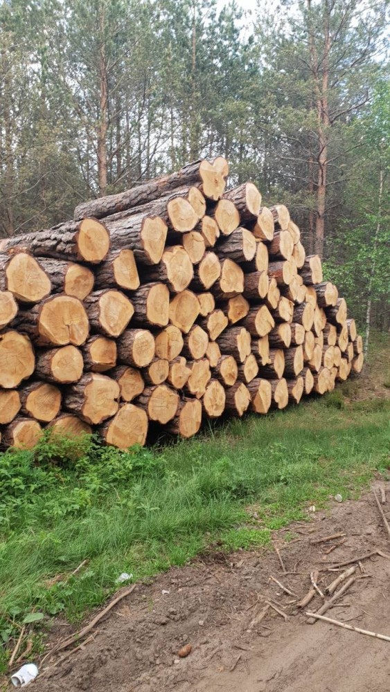 Egritmeda, UAB