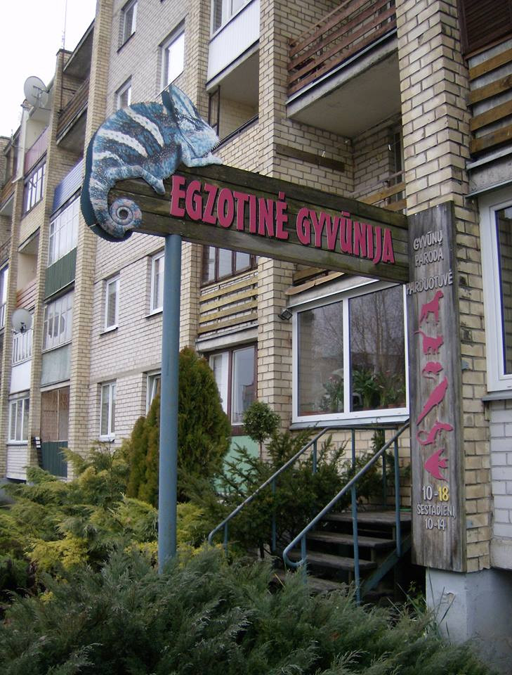Egzotinė Gyvunija Info Lt