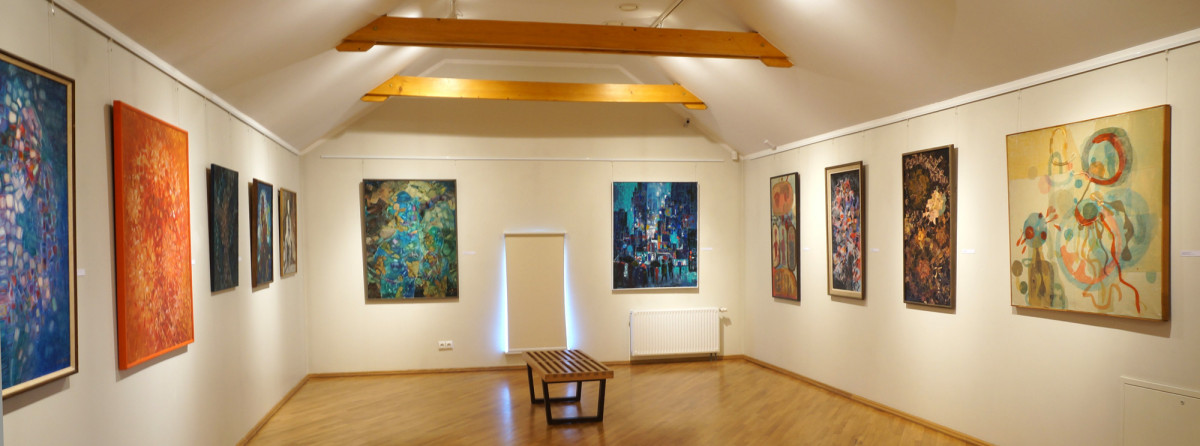 Janinos Monkutės-Marks muziejus-galerija, VšĮ