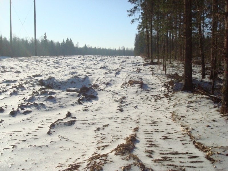 Sadilė, Sauliaus Labanausko firma