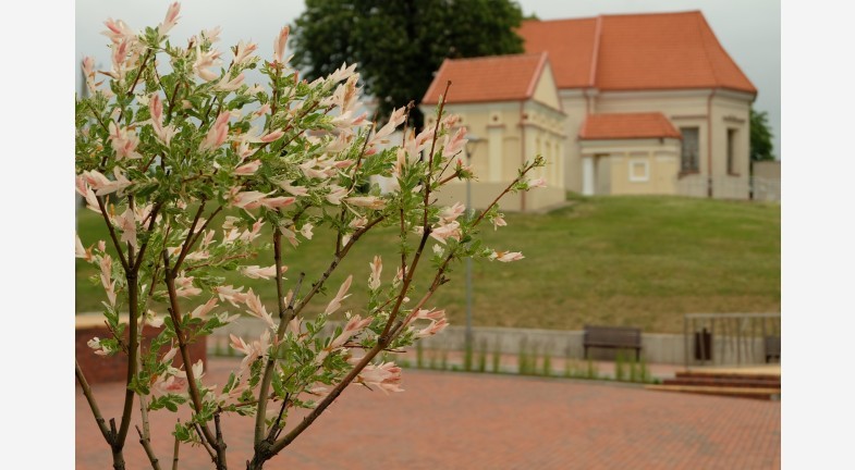 Kėdainių turizmo ir verslo informacijos centras, VšĮ