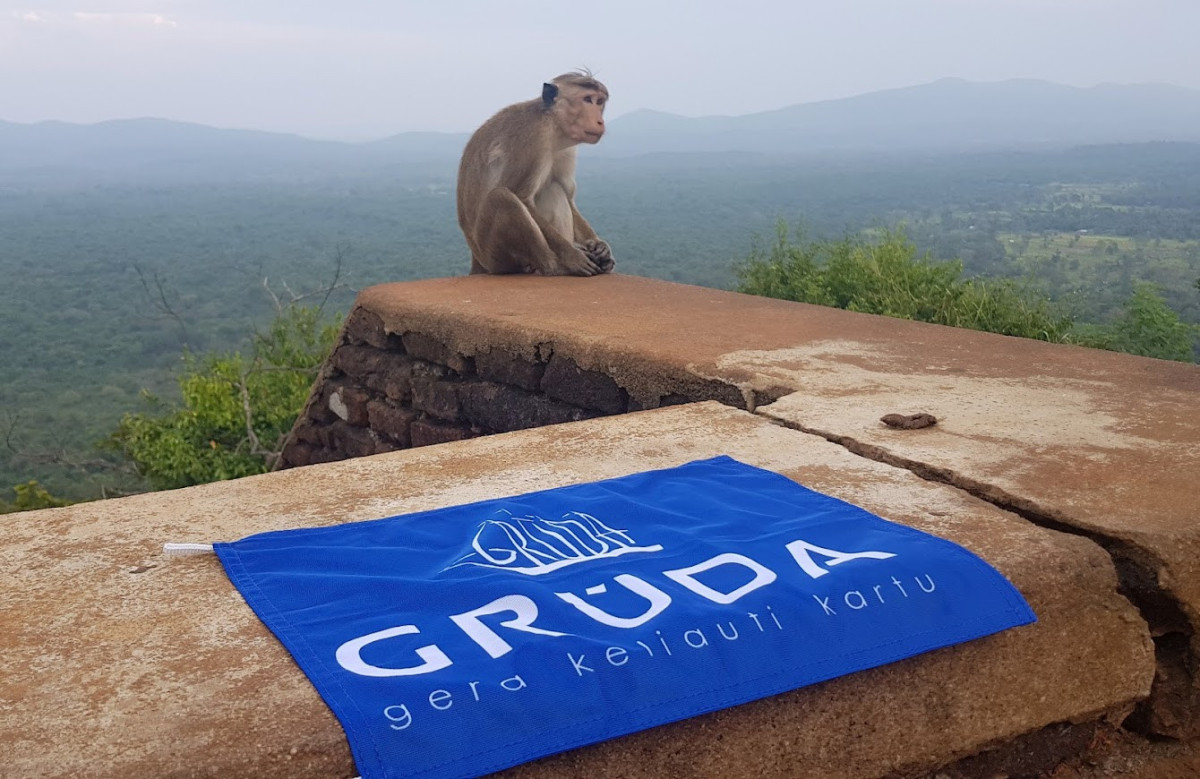 Grūda, UAB "Kauno grūda", Mažeikių filialas