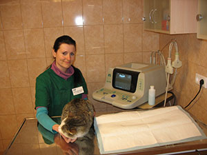 Kabarga, veterinarijos vaistinė, UAB