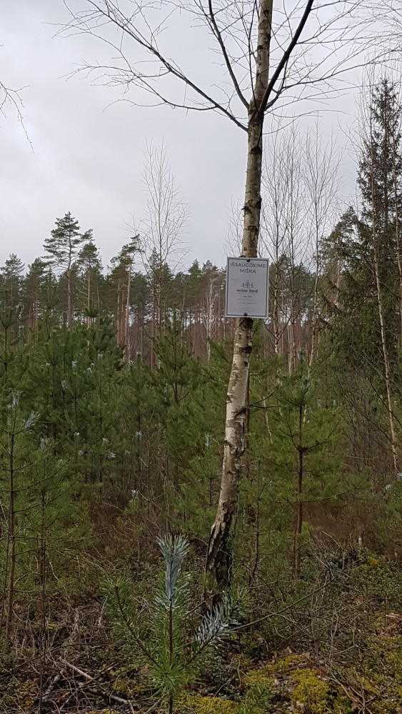 Miško žemė, miško savininkų kooperatyvas