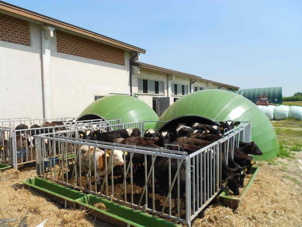 Agrilita, UAB