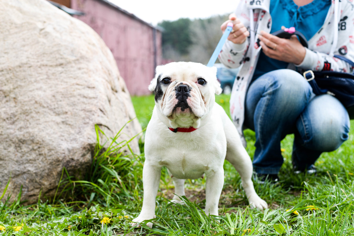 Jakovo veterinarijos centras, UAB